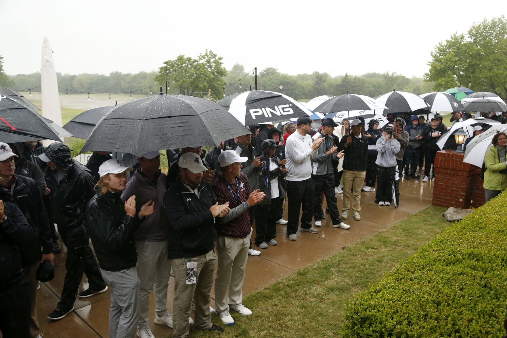 6A Golf